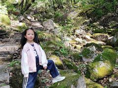 -三块石国家森林公园