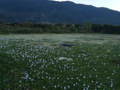 -大理洱源西湖景区