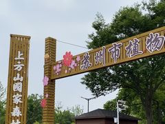 -苏州上方山国家森林公园