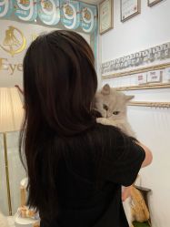 -月野兔日式美睫美甲