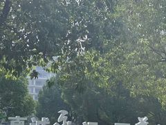 -上海永慈康复医院