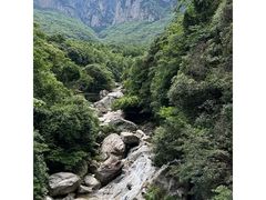 -庐山风景区花径公园