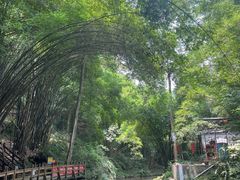 -凤栖山