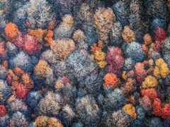 -罗红摄影艺术馆