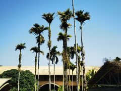 -海南槟榔谷黎苗文化旅游区