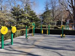 -莲花池公园
