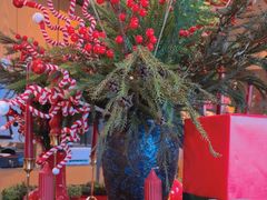 -Grande A'moo(上海万象城店)