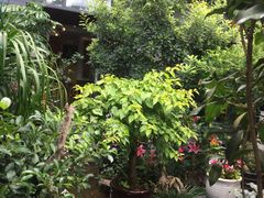 -海韵人家.海景花园经典云南菜(双廊店)