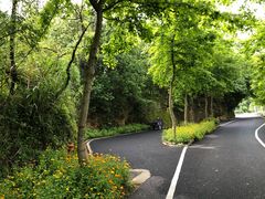 -龙川湾千岛湖国际垂钓中心