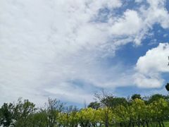 -白鹭湾湿地公园