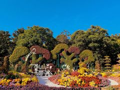 -上海共青森林公园