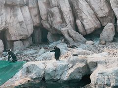 -上海野生动物园