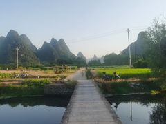 -会仙湿地