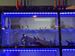 -云中鱼蒸汽石锅鱼(川沙百联店)