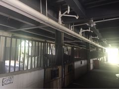 梦娜斯庄园-梦娜斯庄园