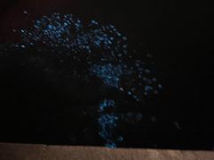 -日照世帆赛基地