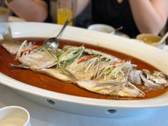 -丹江渔村(望京店)