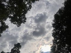 -吴淞炮台湾湿地森林公园烧烤区