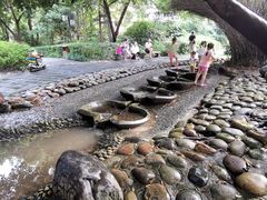 -成都市活水公园