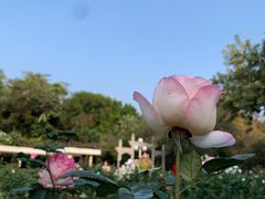 -人民公园(罗湖区)