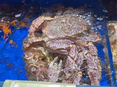 -鹊华居·地道鲁菜·海鲜·融合味(大明湖店)