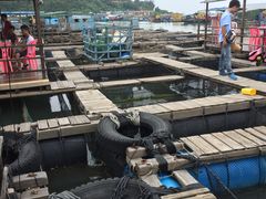 -海上驿站渔家菜馆