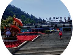 -大连森林动物园