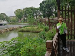 -葛仙湖公园