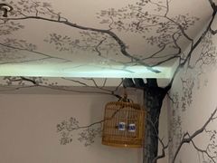 -麦子MaiMassage(打浦桥店)