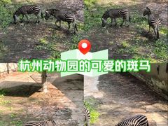 -杭州动物园