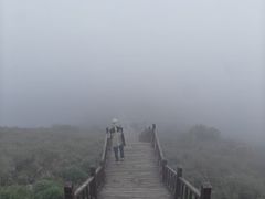 -驼梁风景区