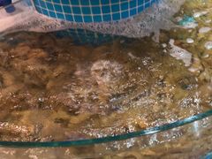 -蓝珊甄选海鲜自助·火锅大排档(近阿那亚店)