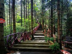 -缙云山景区