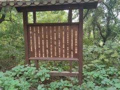 -宝通禅寺