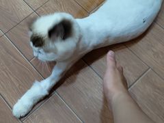 -怡妮新疆风味餐厅(东江湾路店)