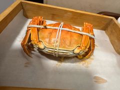 -黄记大闸蟹专卖店·活蟹·醉蟹