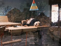 -济南野生动物世界