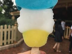 餐饮设施-上海迪士尼度假区
