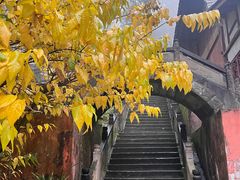 -都江堰普照寺