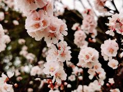 -白塘生态植物园