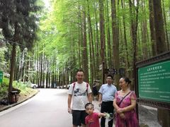 -山王坪喀斯特国家生态公园
