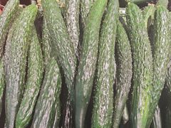 -乐享城购物中心