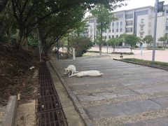 -南京邮电大学(仙林校区)