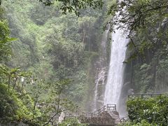 -莫里热带雨林景区