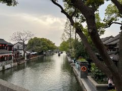 -西塘人家•黑金冠本地好店