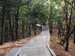 -六里坪国家森林公园