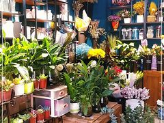 -美尚美鲜花(花情巧意花艺馆)