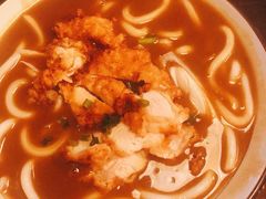 原味乌冬面-金龙咖喱