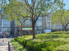 -上海市第六人民医院(临港院区)