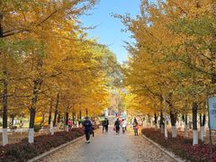 -长白岛森林公园